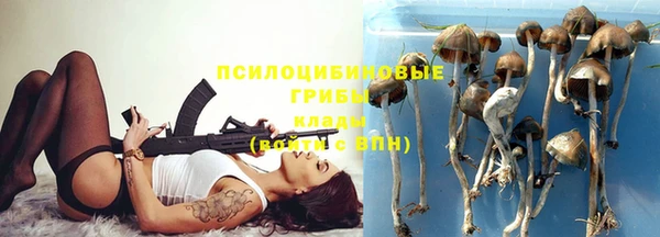 трава Аркадак