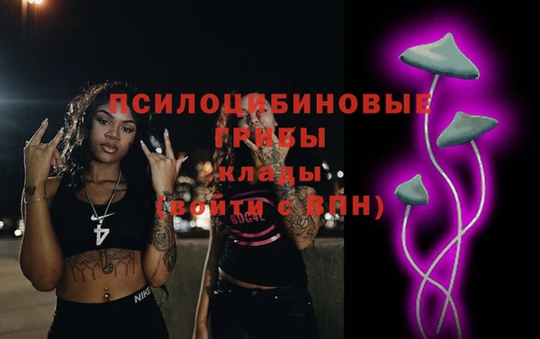 трава Аркадак