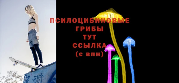 спиды Ростов