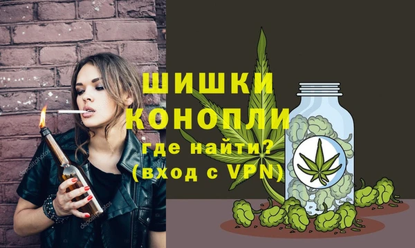 трава Аркадак