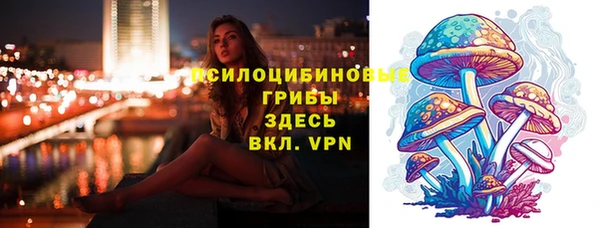 соль курить ск Арсеньев