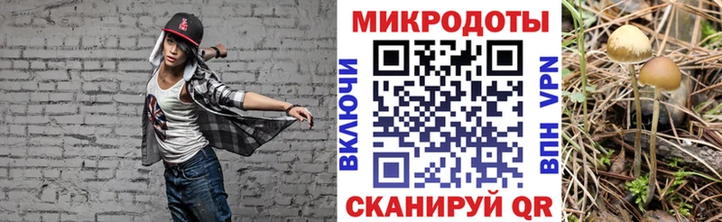 Псилоцибиновые грибы Magic Shrooms  Нязепетровск 